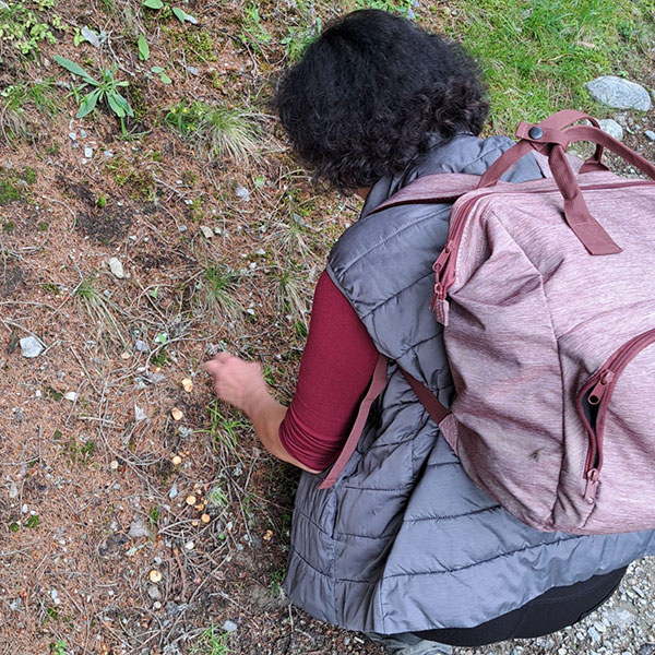 Wandertage Filmoos 2024