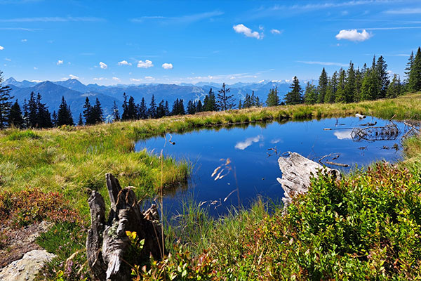 Ausblick vom See über die Berge ·   Wandertage Filmoos 2025