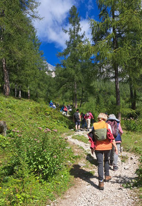 Gruppe auf der Wanderung im Wald ·  Bilder vom Sonntag Wandertage Filmoos 2025