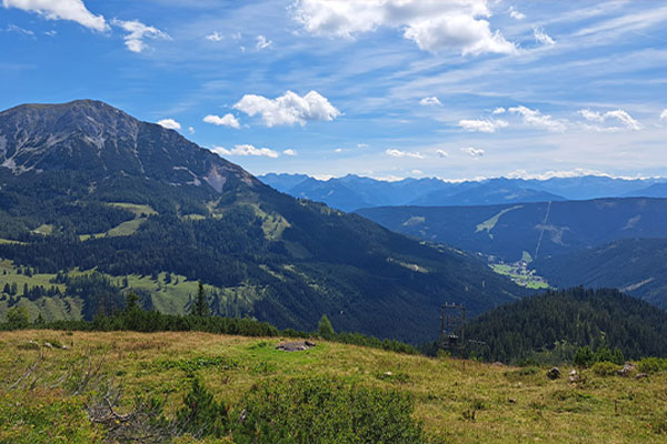 Gruppe auf der Wanderung im Wald ·  Bilder vom Sonntag Wandertage Filmoos 2025